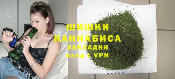 винт Осинники