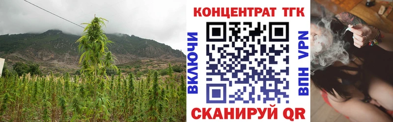 купить наркотики цена  Кимовск  OMG ТОР  мориарти клад  ТГК вейп 