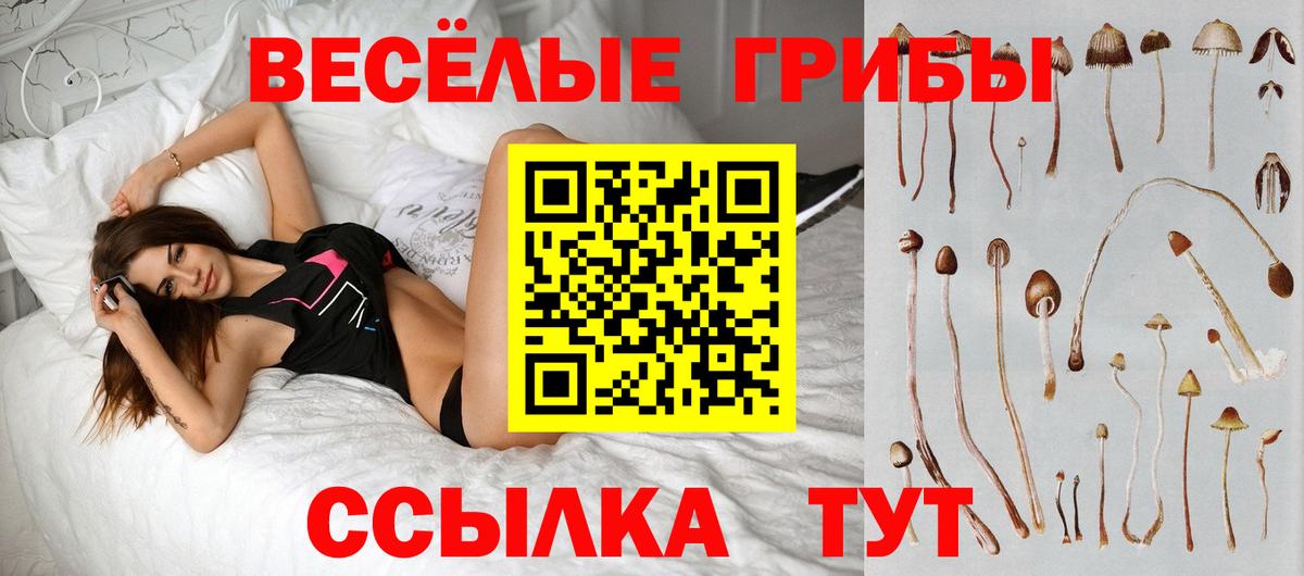 Кимовск  Галлюциногенные грибы Cubensis  Вход с VPN 