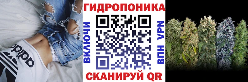 Конопля VHQ  где продают наркотики  Кимовск 